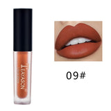 Brand Lips Beauty Makup Pigment Waterproof Lipgloss Long Lasting Black Velvet Matte Nude Lipstick Red Lip Gloss wholesale