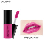 12 Colors Matte Lip Gloss Waterproof Lasting Liquid Lipstick Easy To Carry Red Non-stick Cup Lip Tint Makeup TSLM2